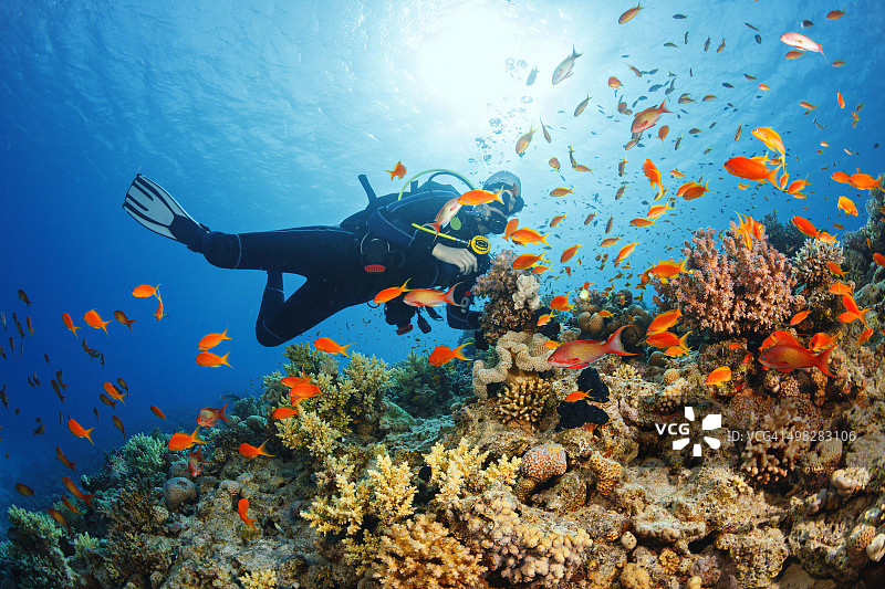 水下：水肺潜水员探索和欣赏珊瑚礁海洋生物图片素材