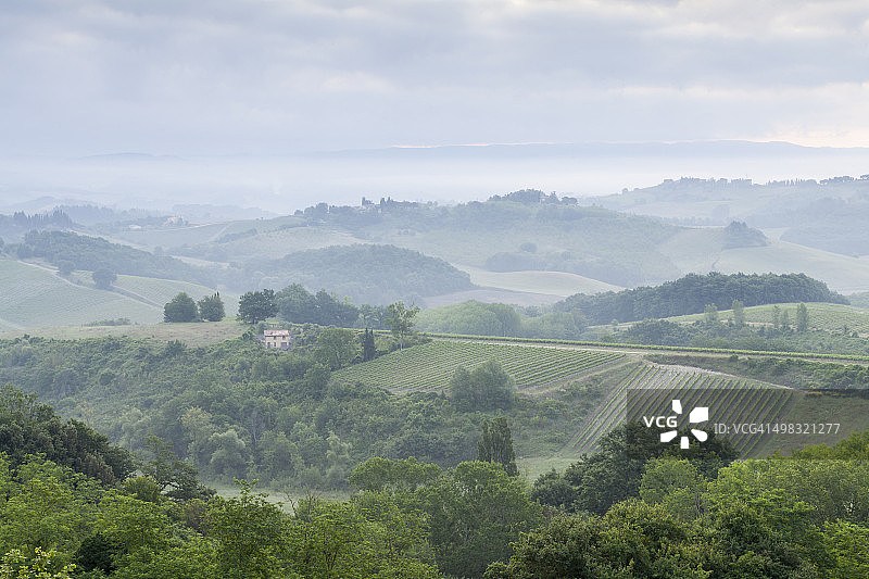 圣吉米尼亚诺附近的葡萄园，托斯卡纳图片素材
