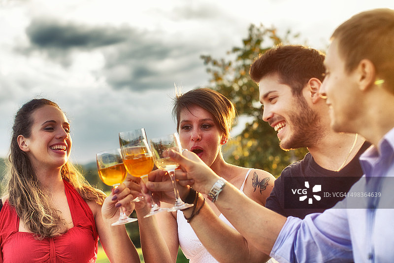 朋友们在户外喝餐前酒图片素材