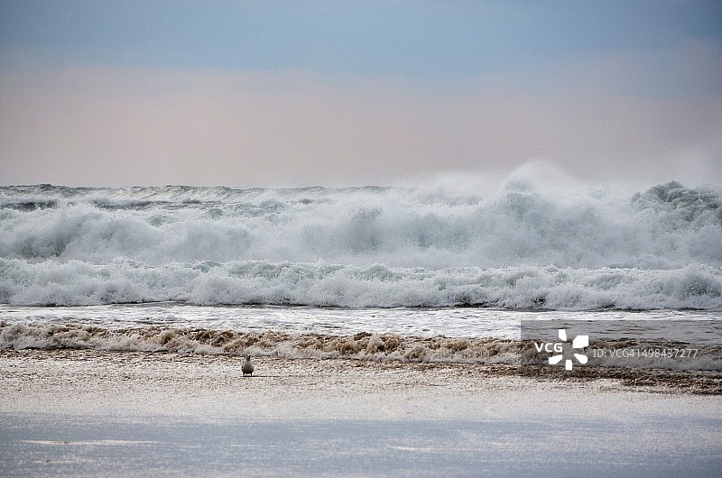 世界海洋日图片素材
