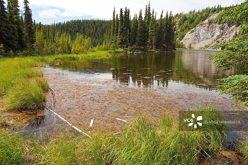 德纳里国家公园的湖上水坝，阿拉斯加图片素材
