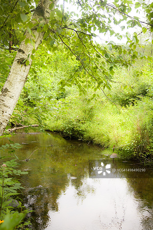阳光小溪图片素材