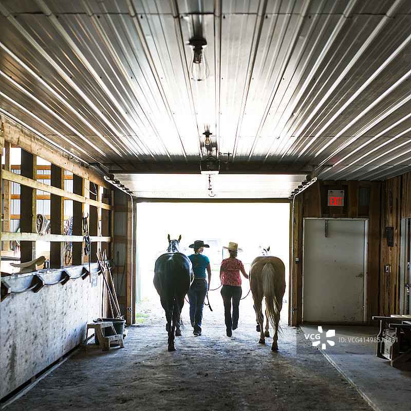女牛仔牵着马走出马厩，后视图图片素材