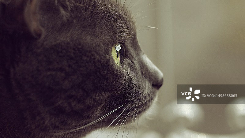 蓝色镜头图片素材