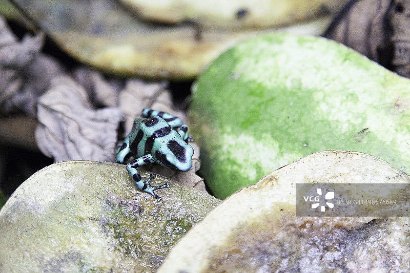 寻找美食图片素材