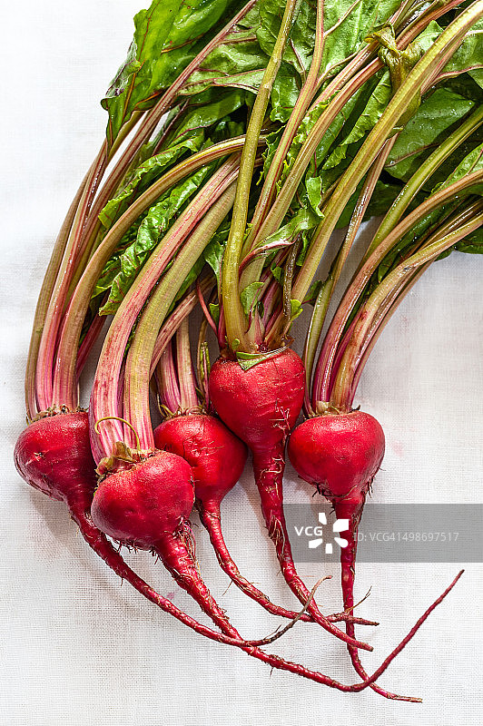 基奥贾甜菜图片素材