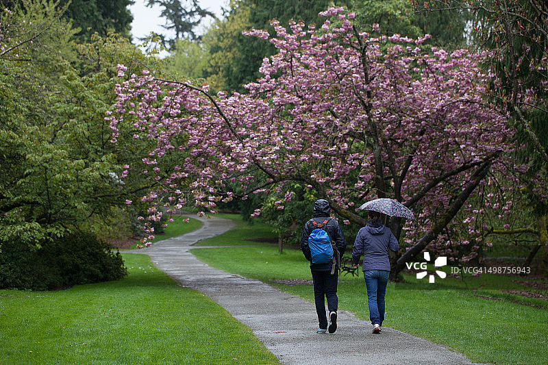 植物园雨中漫步的情侣图片素材