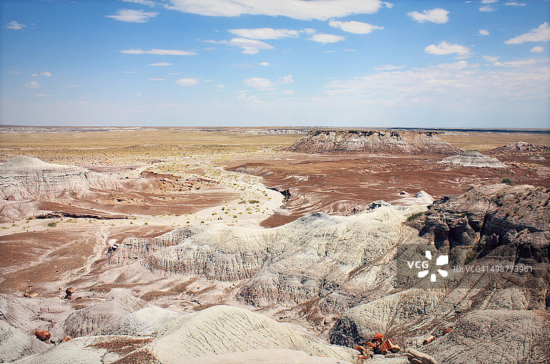 石化林图片素材