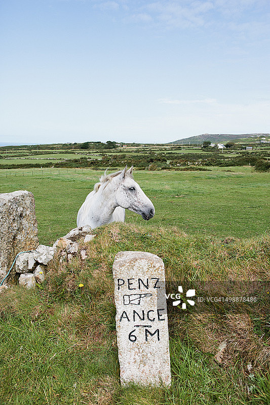 康沃尔的八月图片素材