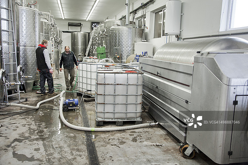 酿酒厂的葡萄酒生产图片素材