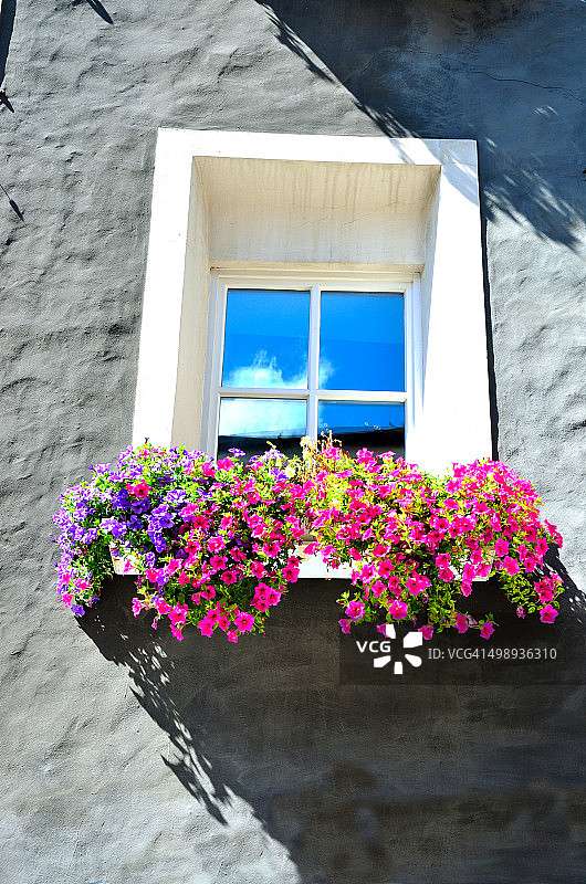 意大利维皮泰诺的鲜花阳台图片素材