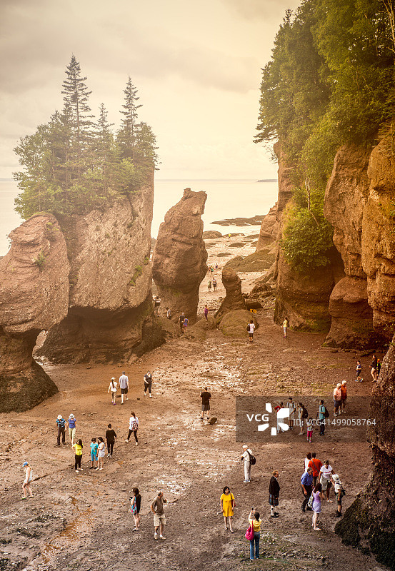 好望石林图片素材