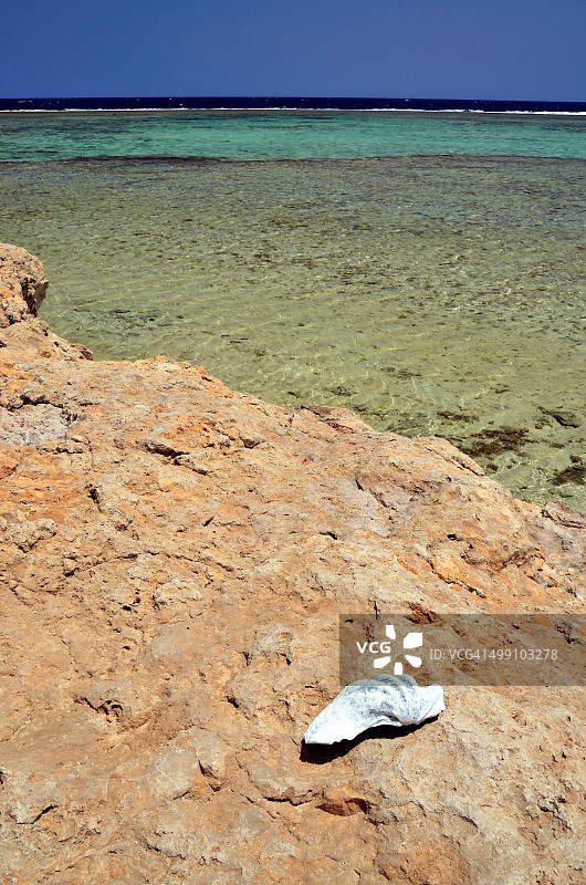 海滩和珊瑚礁图片素材