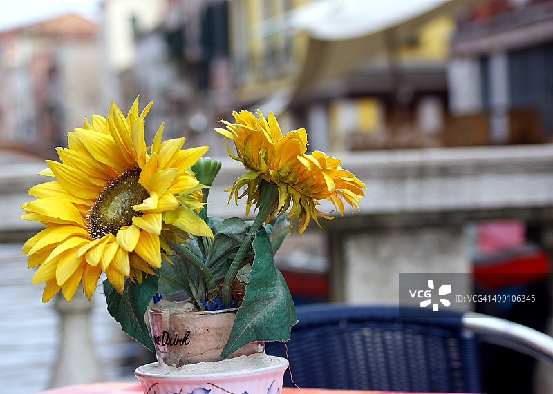 向日葵与威尼斯图片素材