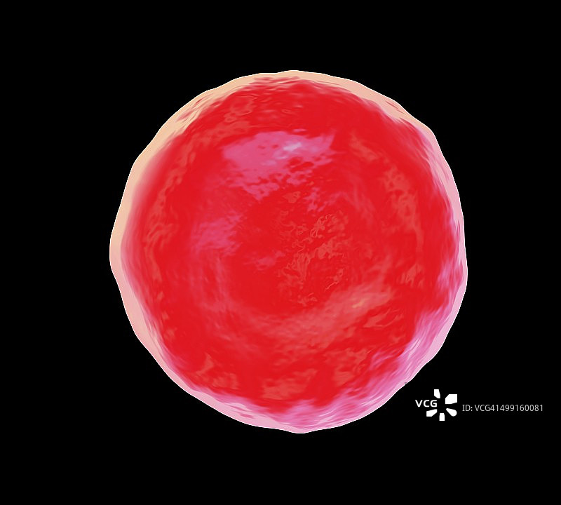 红细胞，艺术作品图片素材