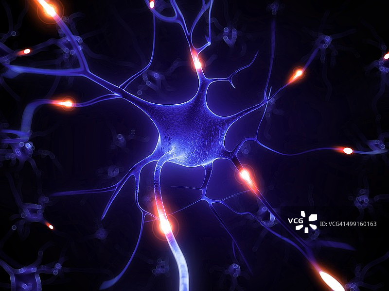 神经细胞艺术图图片素材