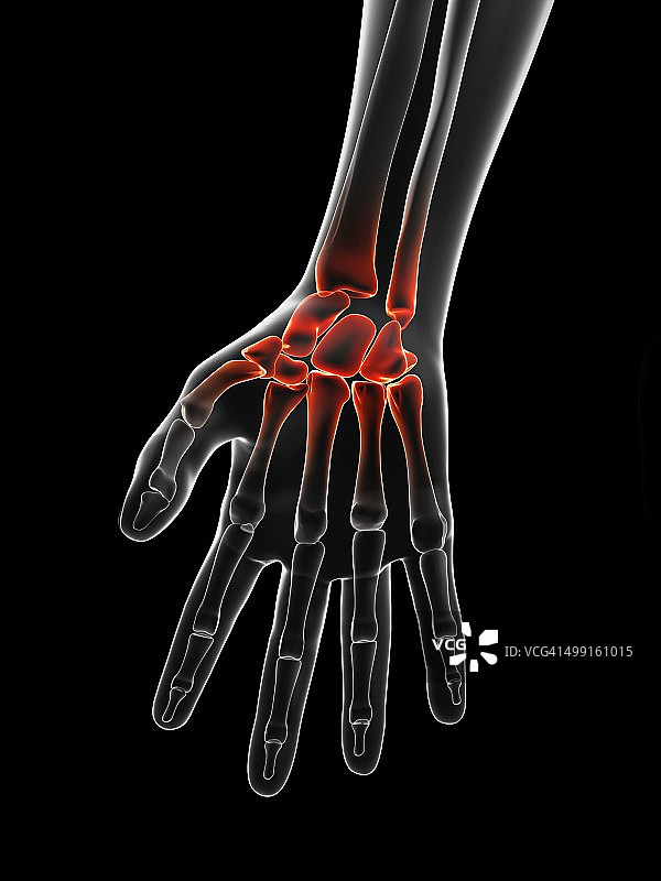 人类手腕艺术作品图片素材