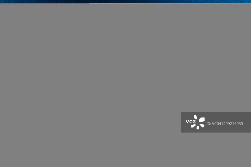 蝠鲼的觅食狂潮图片素材