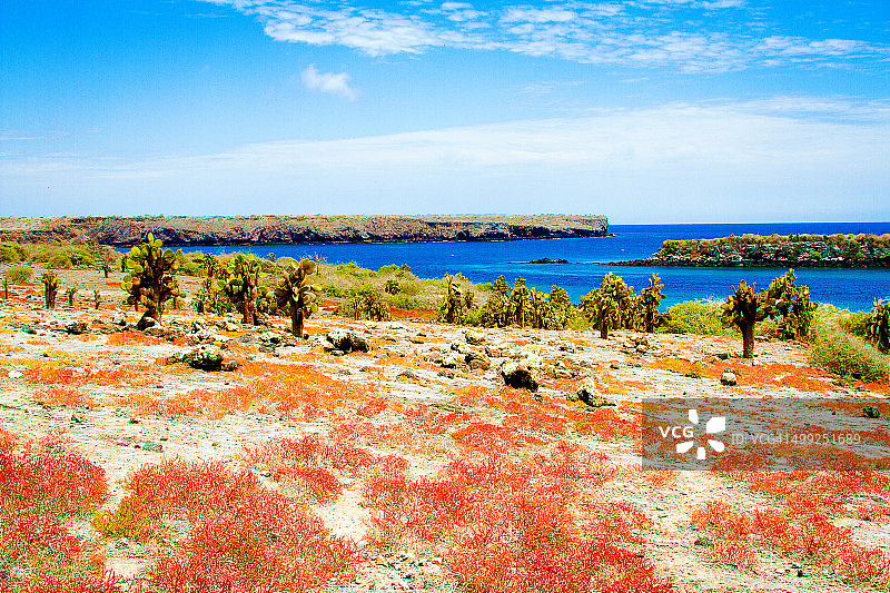 南广场岛-加拉帕戈斯群岛图片素材
