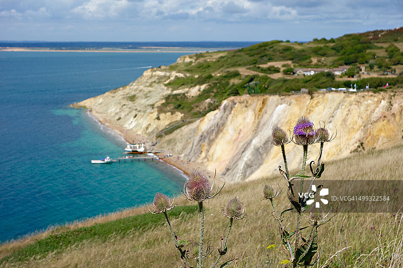 英格兰尼德尔斯海岬和丁尼生丘陵海岸线图片素材