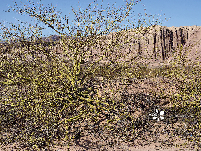 孔查斯峡谷，阿根廷北部图片素材