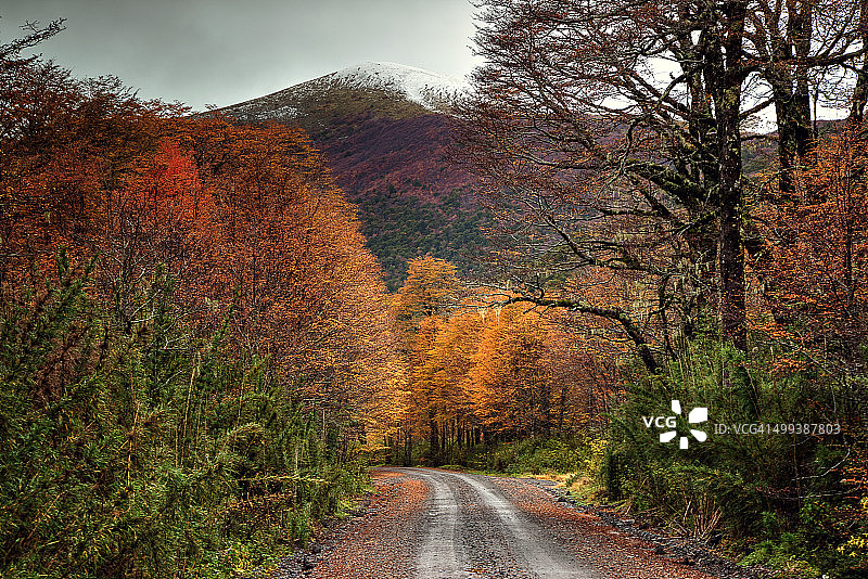安蒂兰卡-巴塔哥尼亚(智利)图片素材