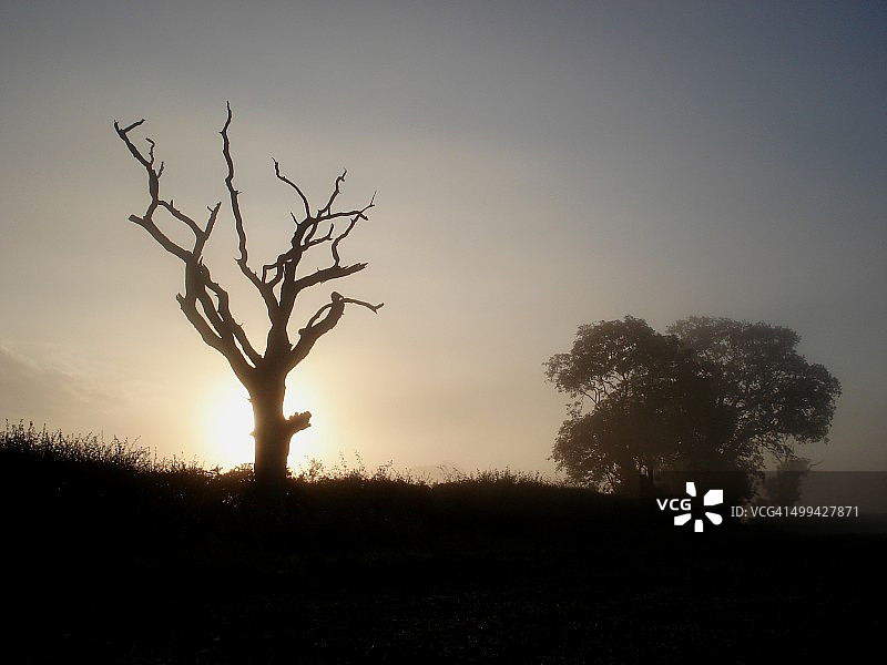 秋季剪影图片素材
