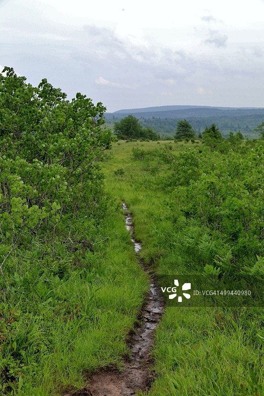 山顶上的泥泞小路图片素材