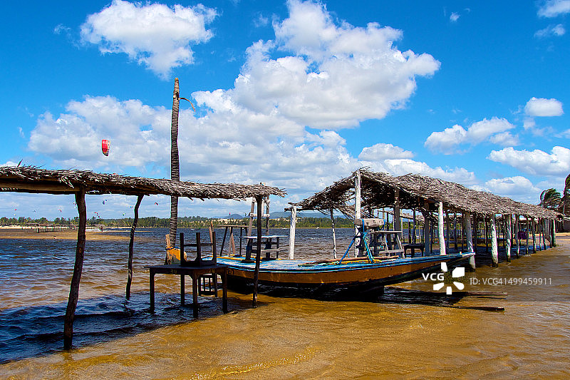 昆布科图片素材