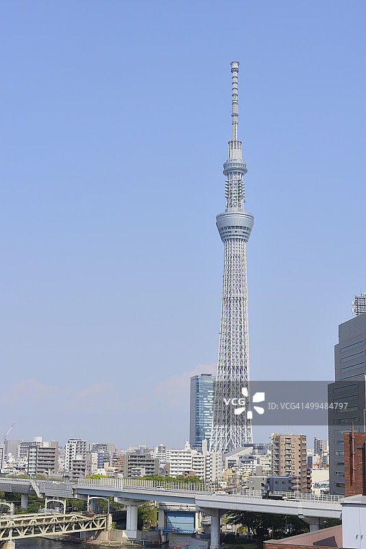 现代豆茎图片素材