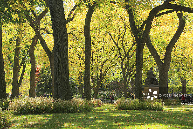 秋日阳光穿透秋色树木图片素材
