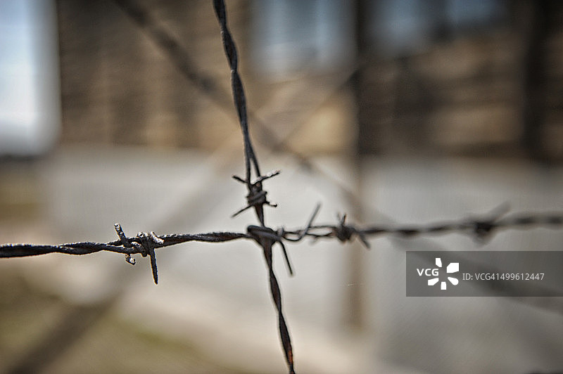 马伊达内克的带刺铁丝网图片素材