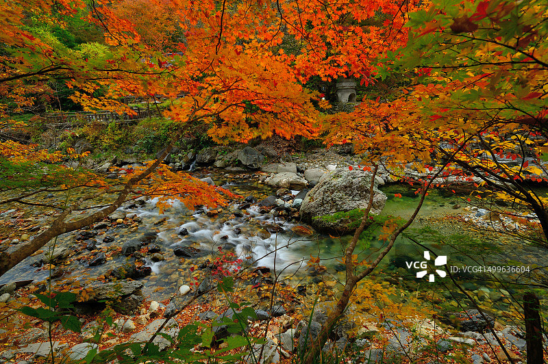 日本秋季的河流景观图片素材