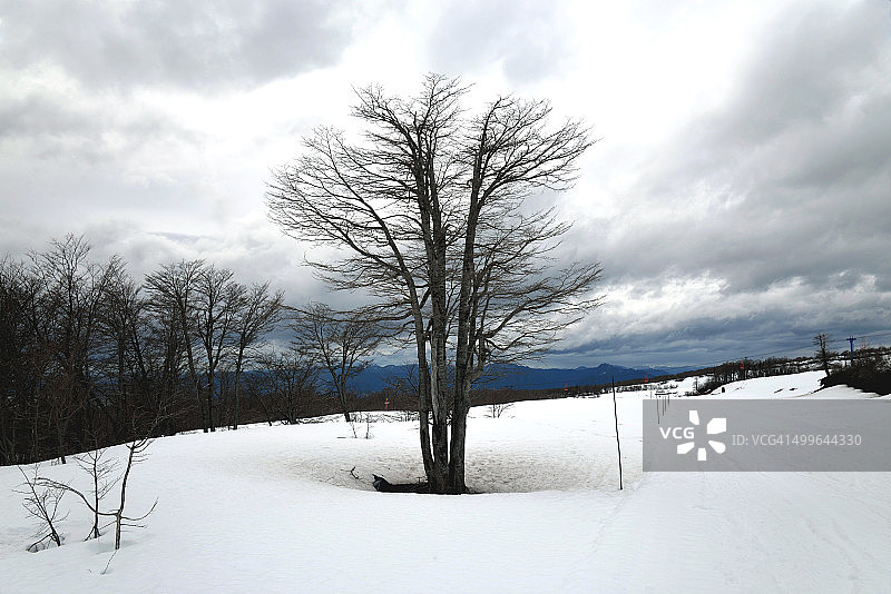 比亚里卡火山表面图片素材