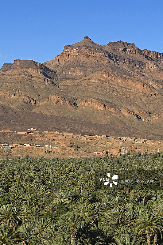 棕榈树与基桑杰贝尔山图片素材