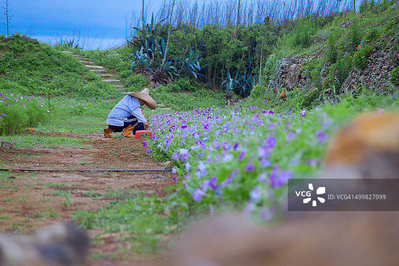 西屿东堡图片素材