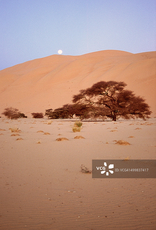 泰梅特沙丘日出与满月图片素材