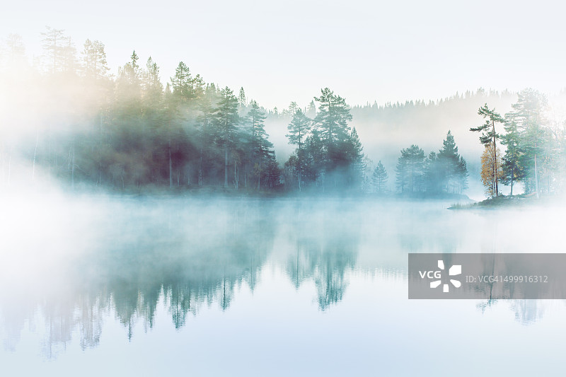森林、湖泊和晨雾图片素材