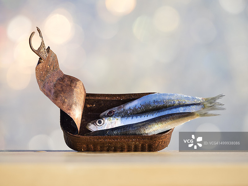 装在古老生锈罐头里的新鲜沙丁鱼图片素材
