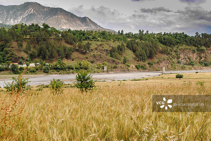 麦田和群山图片素材