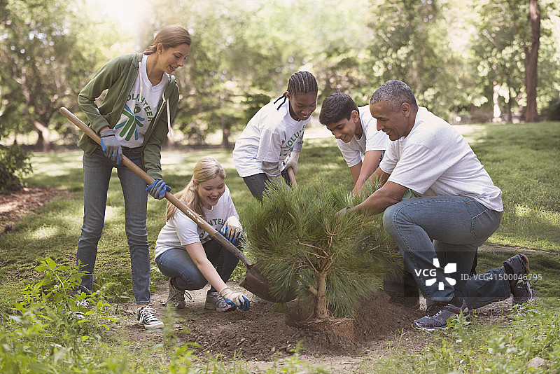 志愿者在城市公园植树图片素材