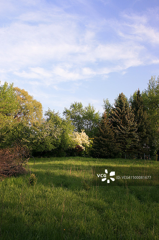 春天的草地图片素材