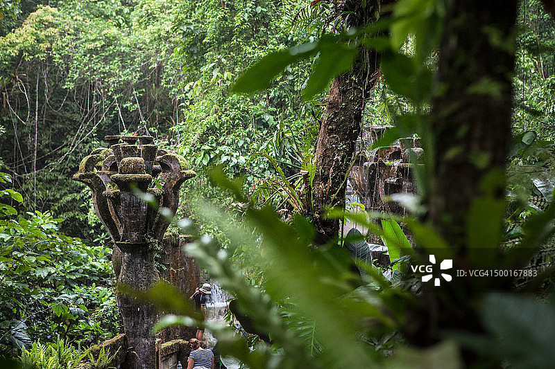 西里特拉雕塑花园中的男人和丛林图片素材