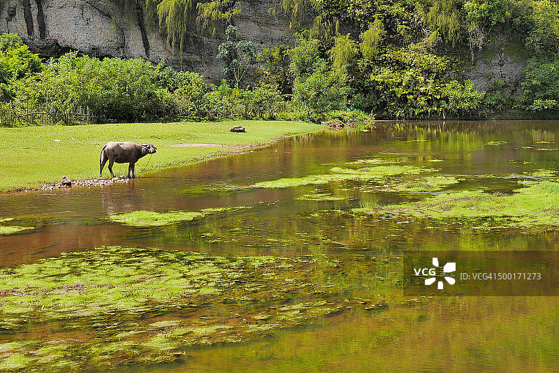 西苏门答腊风光图片素材