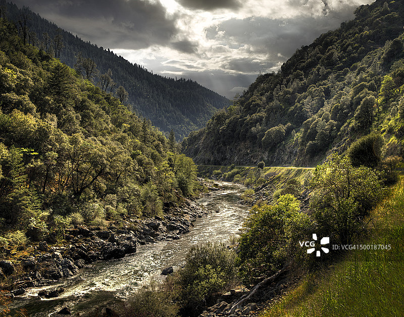 山景鳟鱼溪流图片素材