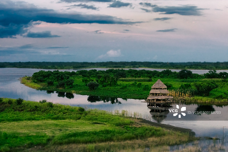 丛林景观图片素材