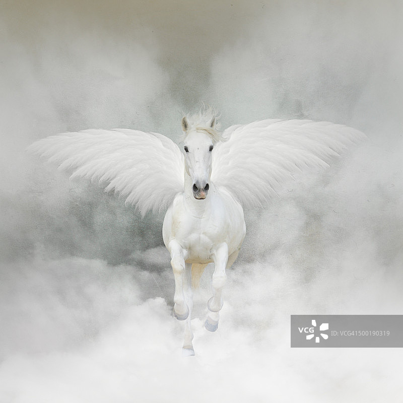 云中飞马图片素材