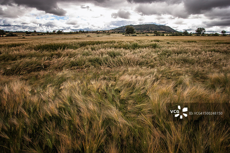 圣安东尼奥马萨帕（旅游鬼城）图片素材