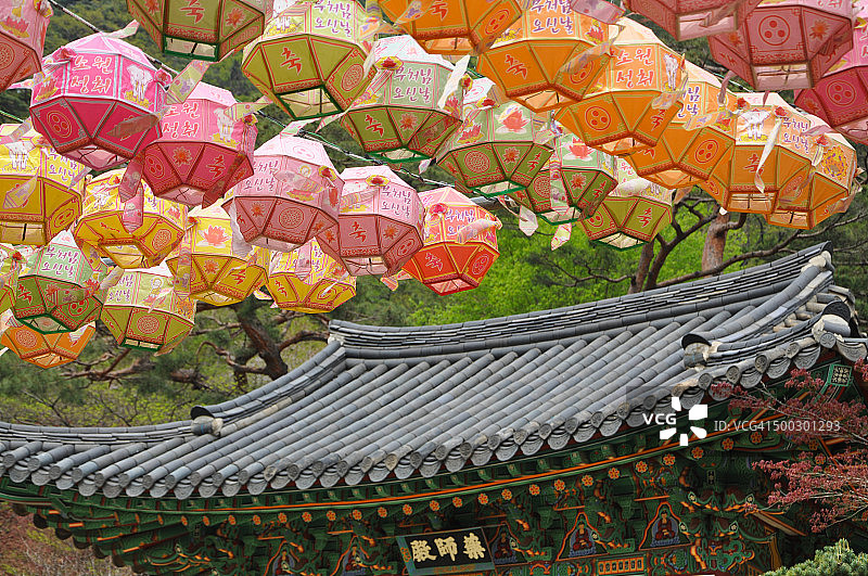 全灯寺悬挂的彩色灯笼图片素材