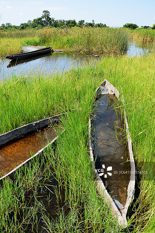 奥卡万戈三角洲沉入水中的旧独木舟图片素材
